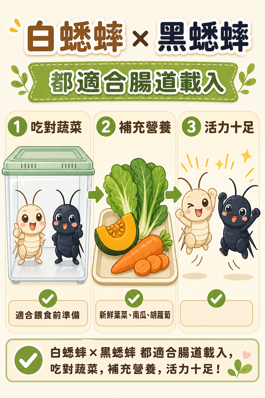白蟋蟀和黑蟋蟀都適合腸道載入，吃對蔬菜後活力十足，把營養確實帶進爬蟲體內