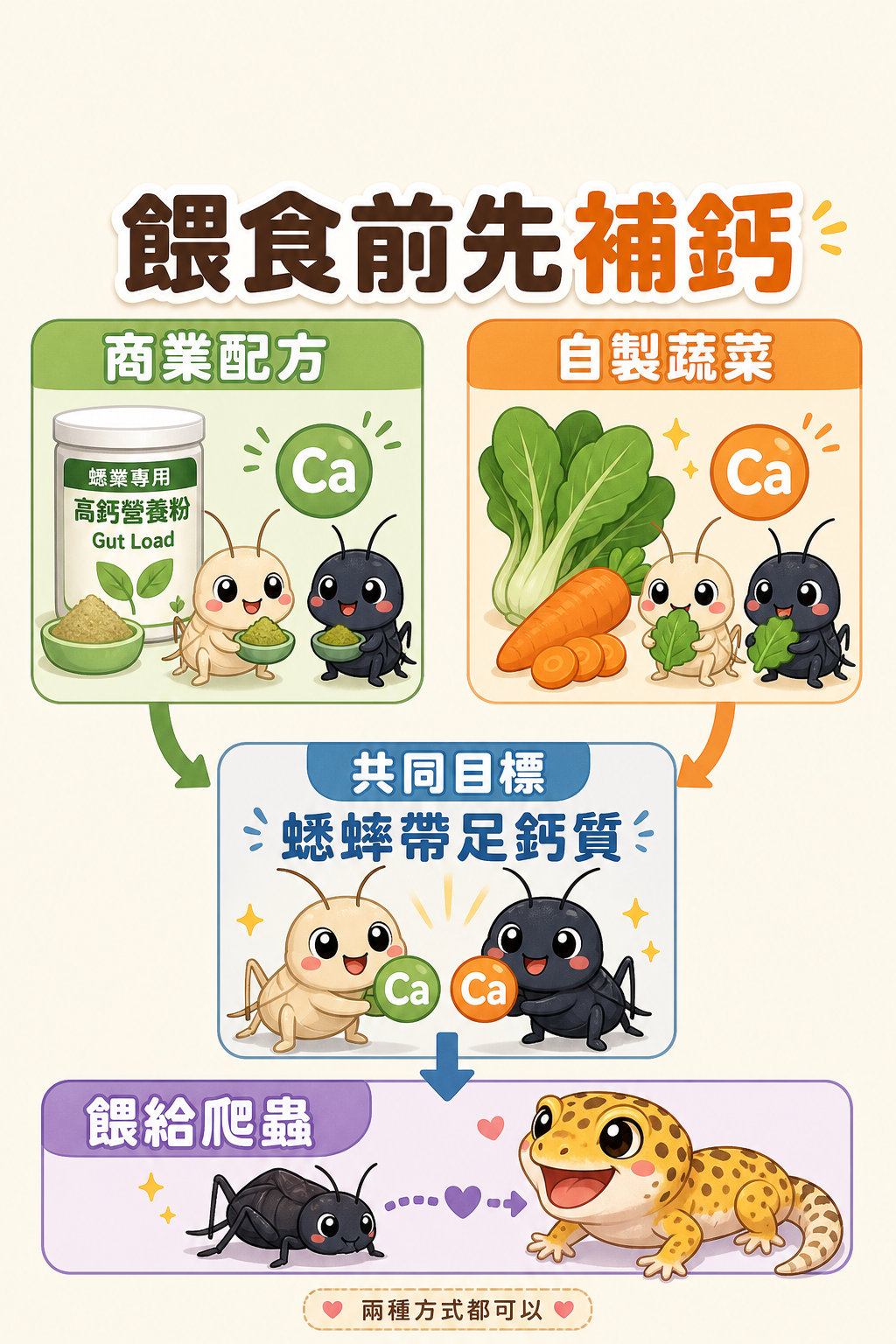 無論用商業配方還是自製蔬菜組合，目標都一樣：讓蟋蟀在餵食前帶著足夠的鈣質進入爬蟲肚子