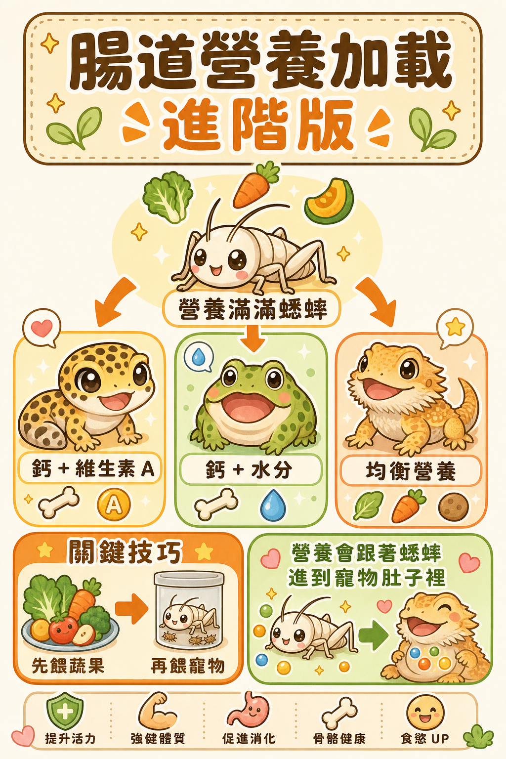 腸道載入後的蟋蟀讓多種爬蟲都受益：守宮、角蛙、鬍子蜥同場獲得所需的鈣磷比例，避開枯葉和低效食材才能讓效果最大化