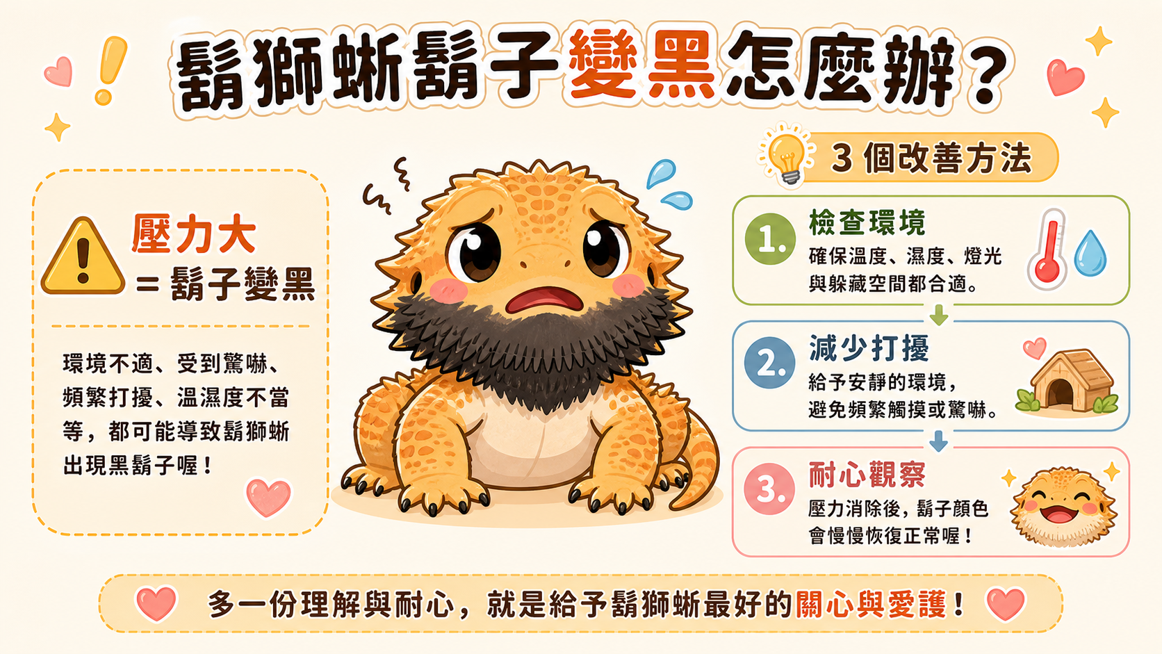 鬃獅蜥餵食說明 4