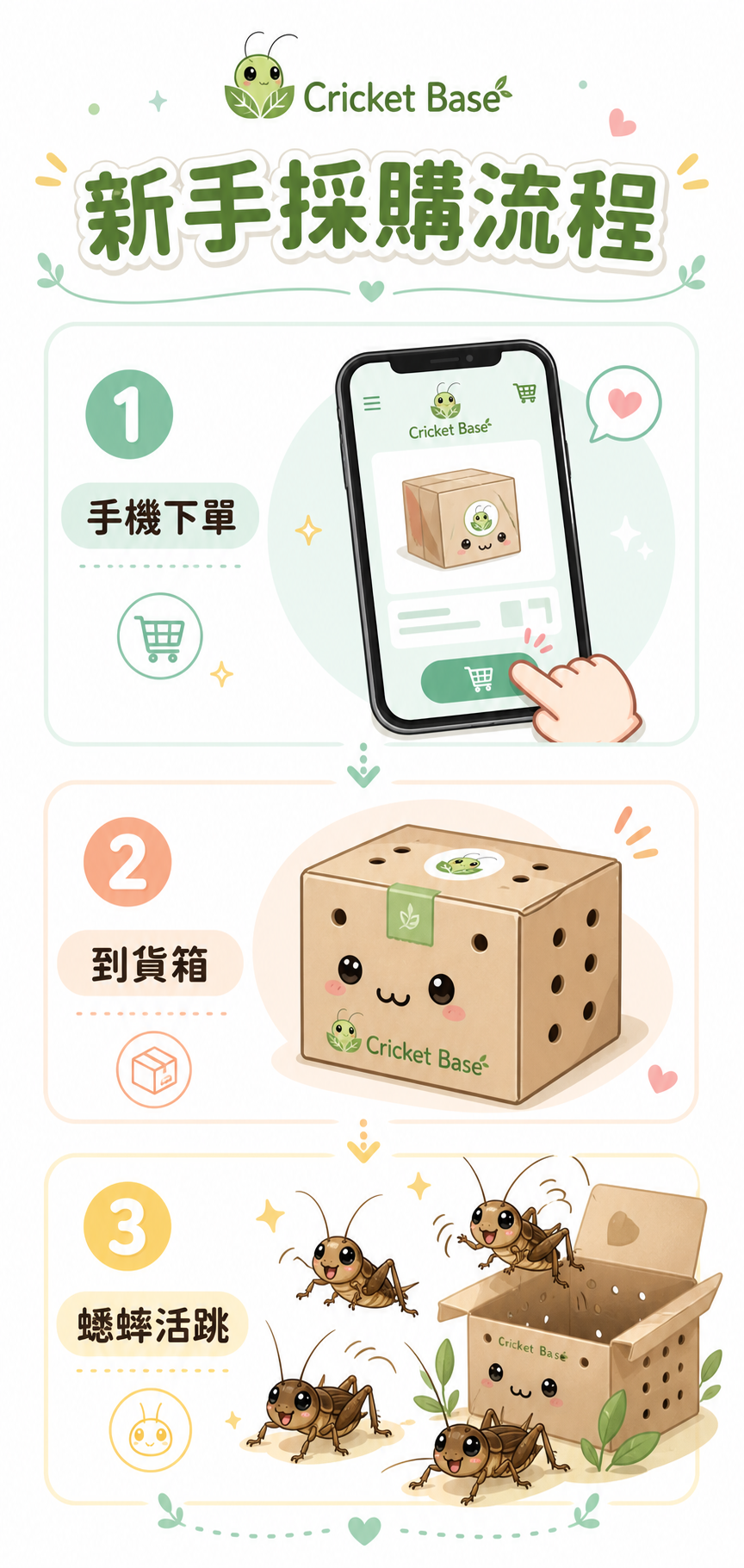 第一次買蟋蟀：從選購到開箱的完整流程