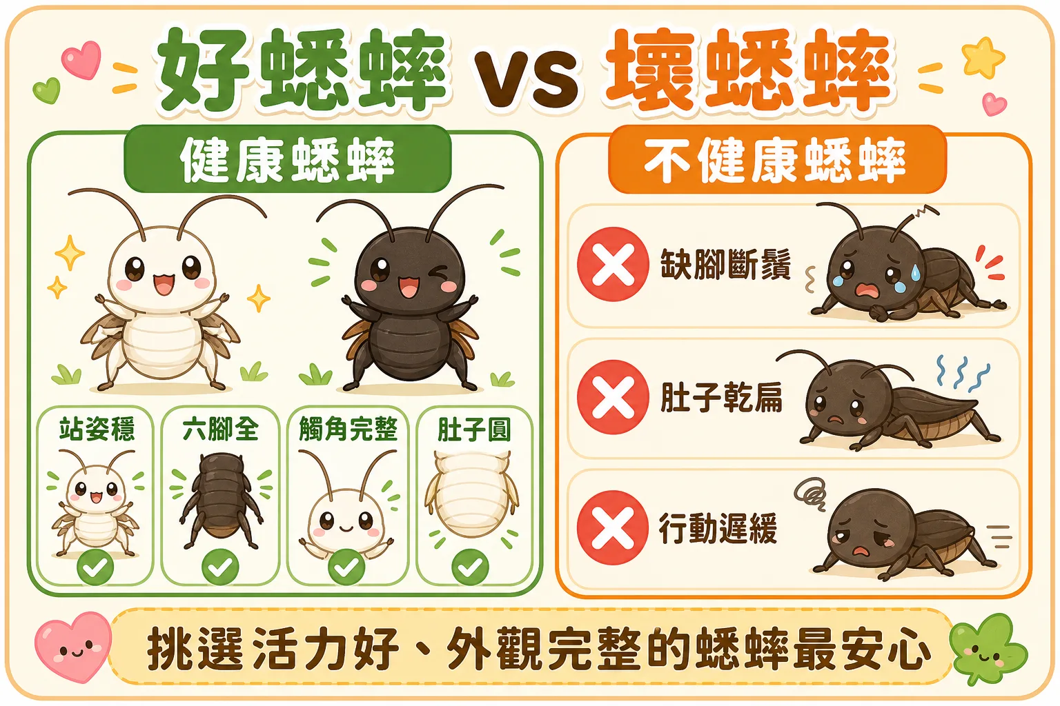 白蟋蟀和黑蟋蟀都是合格的活餌，活體適合追食訓練；失去活力、腹部凹陷或體表異常的個體才需要排除，不可直接餵食。