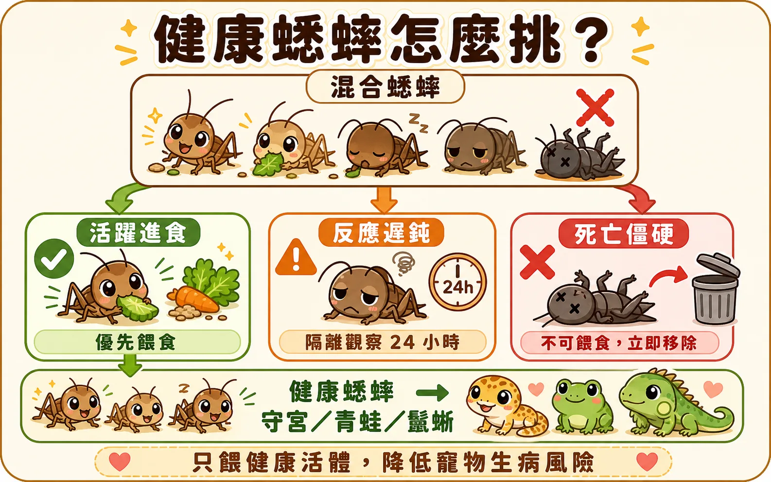 有在正常進食的蟋蟀是好的訊號，體表帶刺異物或凍僵個體則要排除；只把狀況好的活餌送進爬蟲箱，才能看到牠們快樂進食。