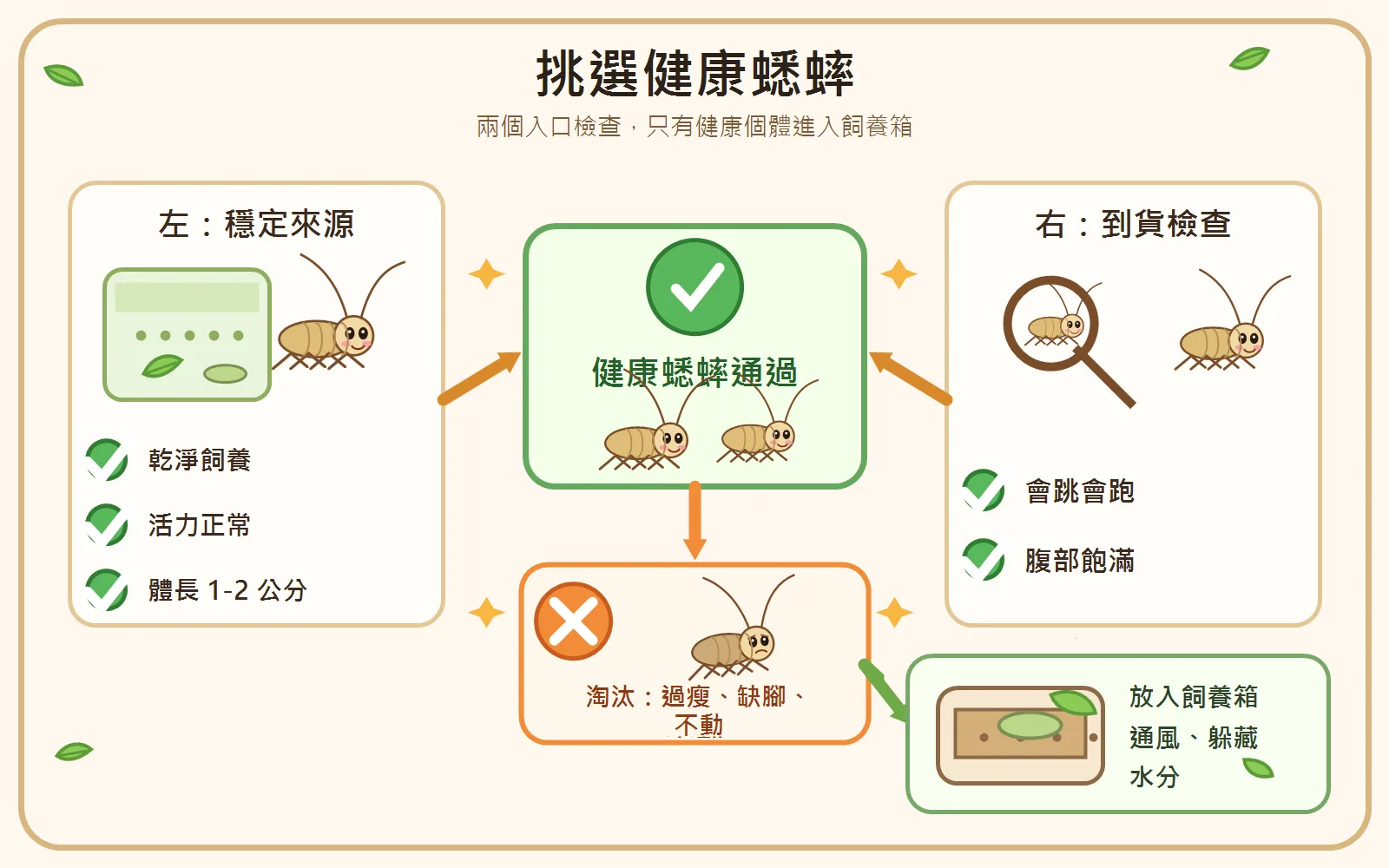 不論是網購宅配還是實體店購買，最終目的都是讓健康的蟋蟀安全進到爬蟲的飼育箱；狀況差的個體不該進這一關。
