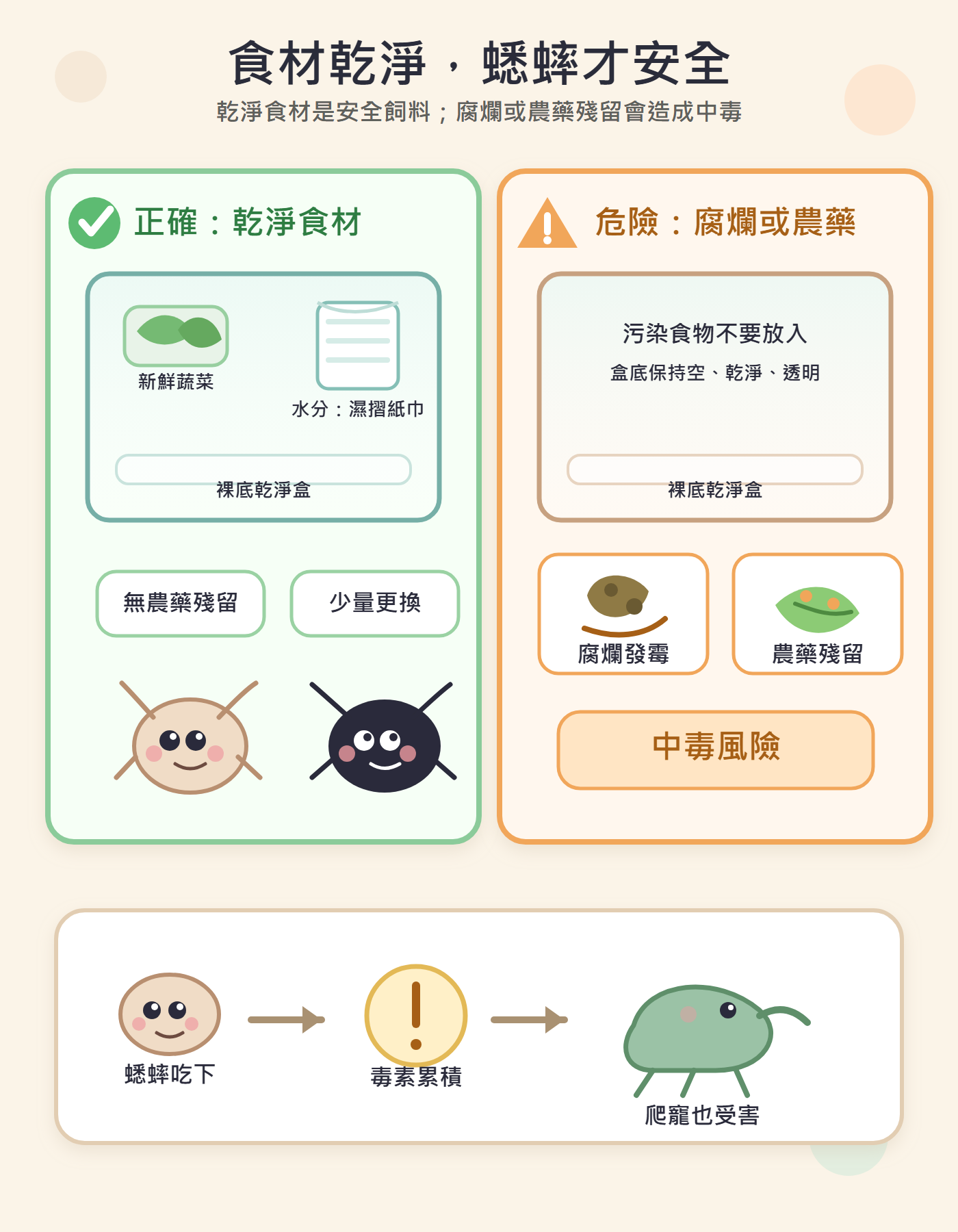食物好不好,蟋蟀心裡有數:乾淨食材才是安全的飼料,腐爛或帶農藥殘留的食物是蟋蟀(和後續吃下蟋蟀的爬寵)中毒的直接原因。