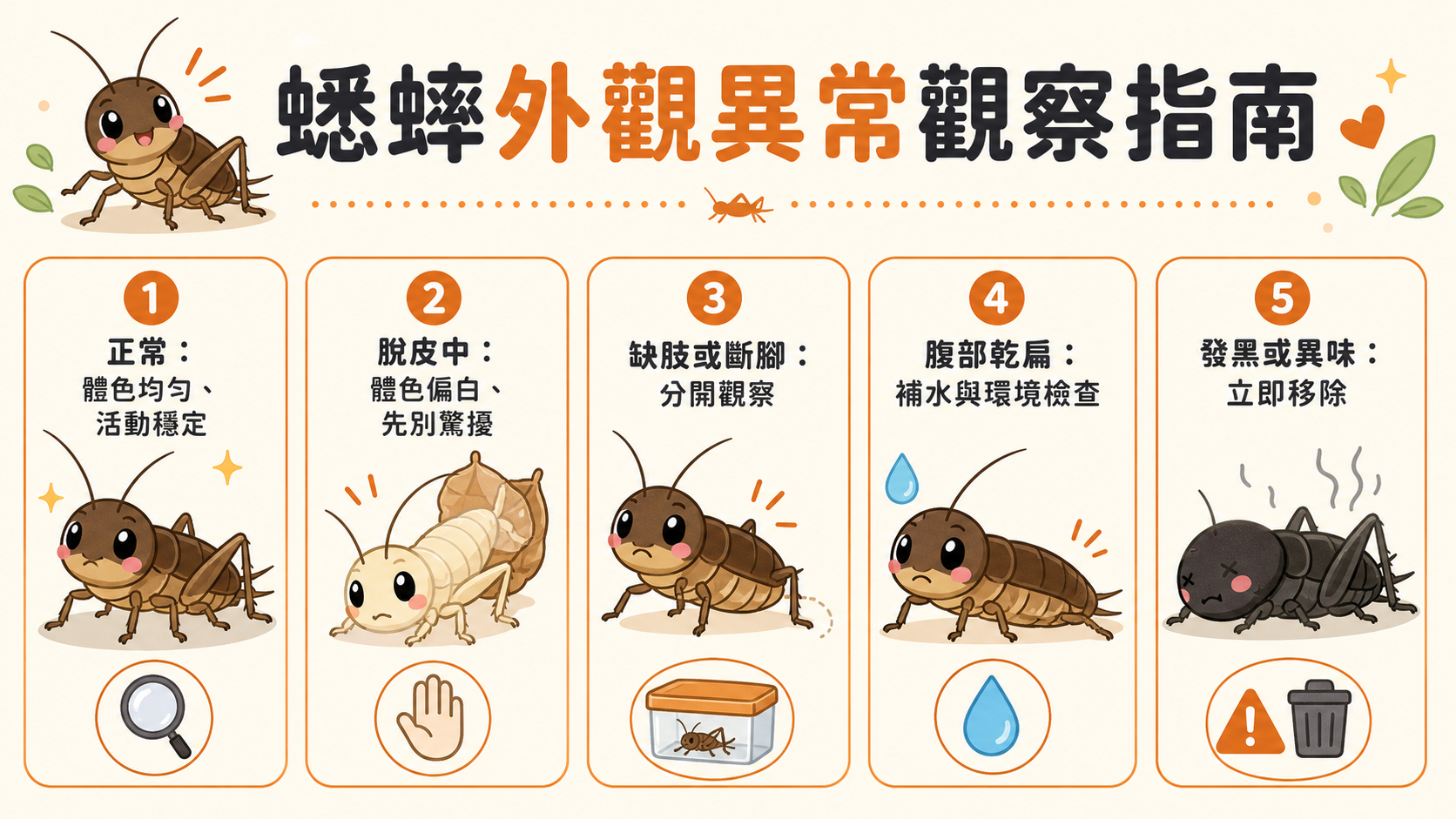 蟋蟀外觀異常怎麼判斷？變黑、脫水、不動的快速識別指南