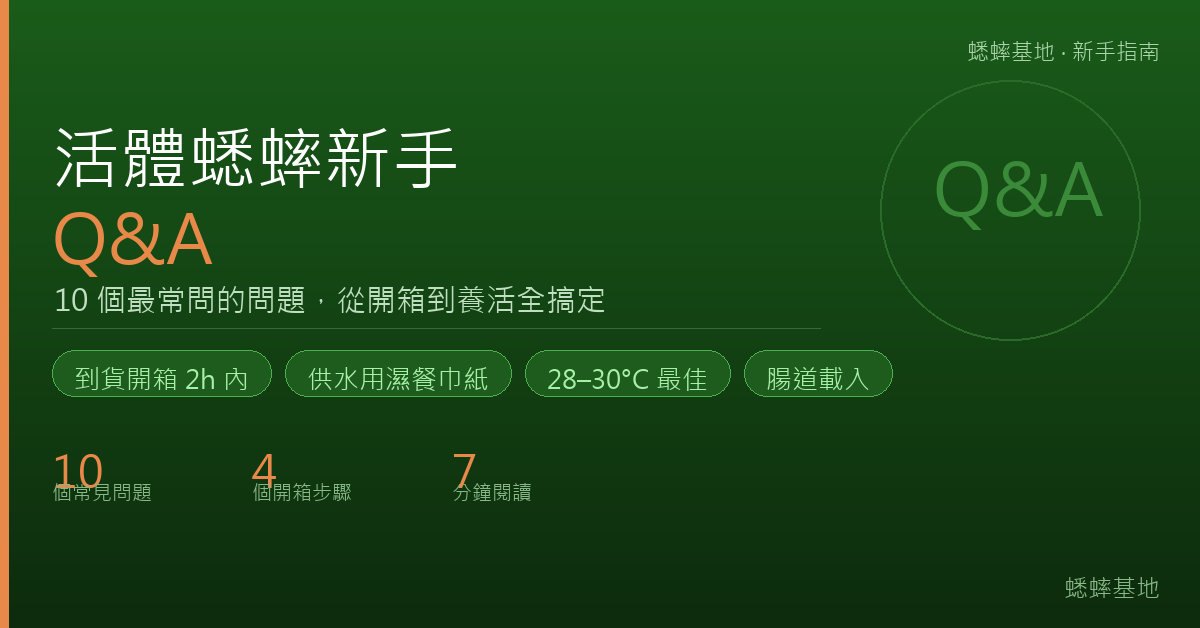 活體蟋蟀新手 Q&A：10 個最常問的問題與解答