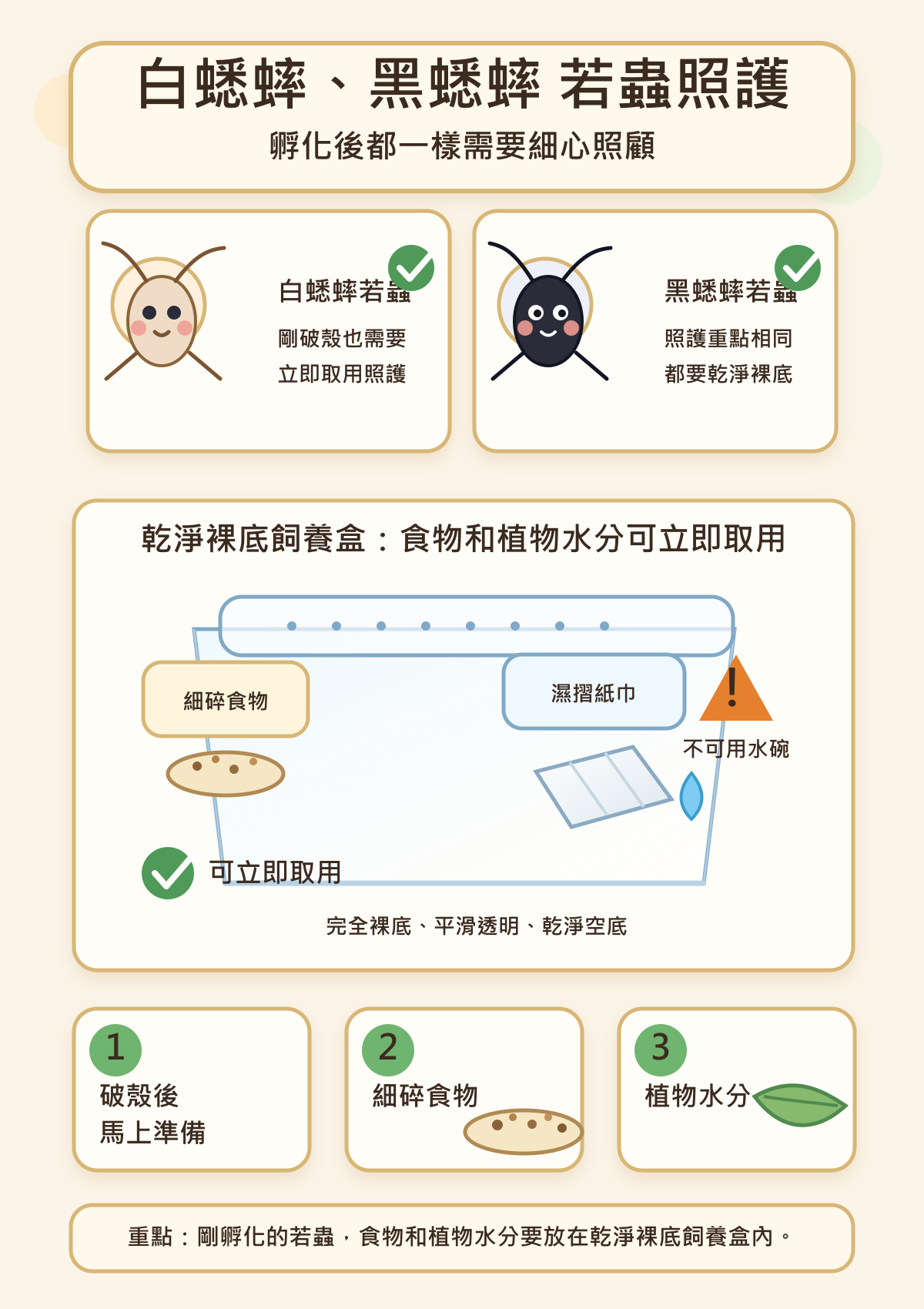 白蟋蟀和黑蟋蟀孵化出來的若蟲都需要同樣細心的照顧：破殼後馬上要有細碎食物和植物水分可以取用。