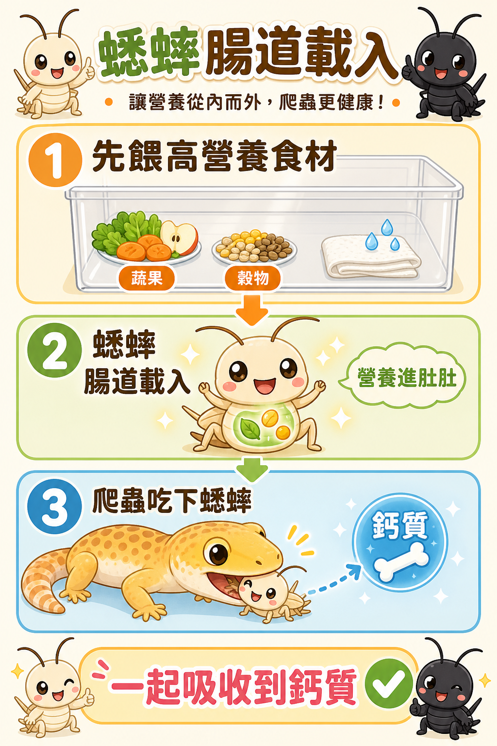 腸道載入讓蟋蟀先把高營養食材吃進去，爬蟲吞下蟋蟀的同時就能一起吸收到鈣質。