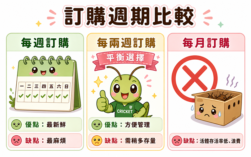 訂購週期比較：每週、每兩週、每月三欄