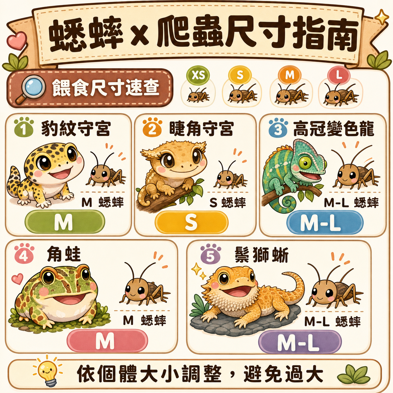 蟋蟀尺寸對照:守宮、角蛙、變色龍各餵哪種