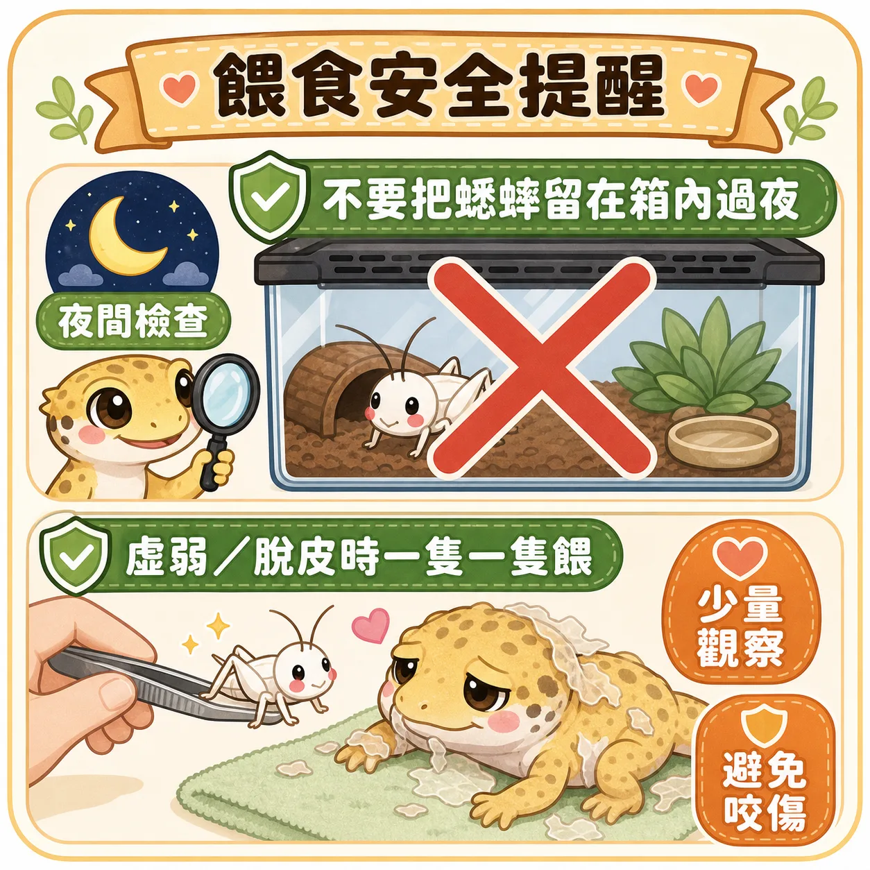 健康的活蟋蟀能刺激爬寵的捕食本能、吃得起勁；冷凍蟋蟀解凍後用鑷子手餵，同樣安全有效——重點是活餌不讓牠們在缸裡過夜，避免反咬。