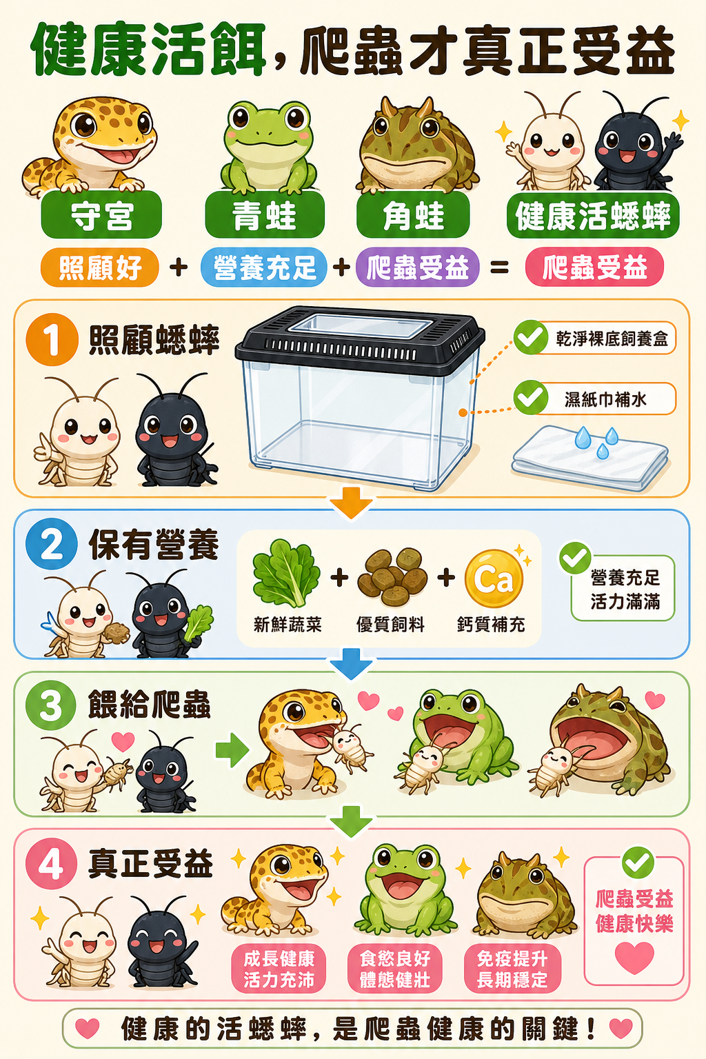 守宮、青蛙、角蛙等各種爬蟲都需要健康的活餌,把蟋蟀照顧好、讓牠保有充足營養,爬蟲吃下去才能真正受益