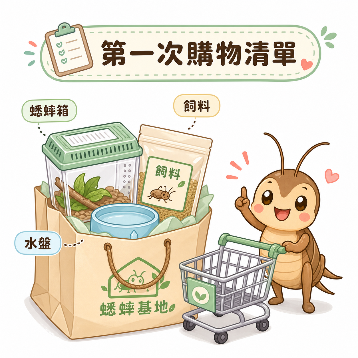 第一次買蟋蟀清單圖解：飼育箱、通風蓋、濕餐巾紙、紙蛋托、飼料、溫度計