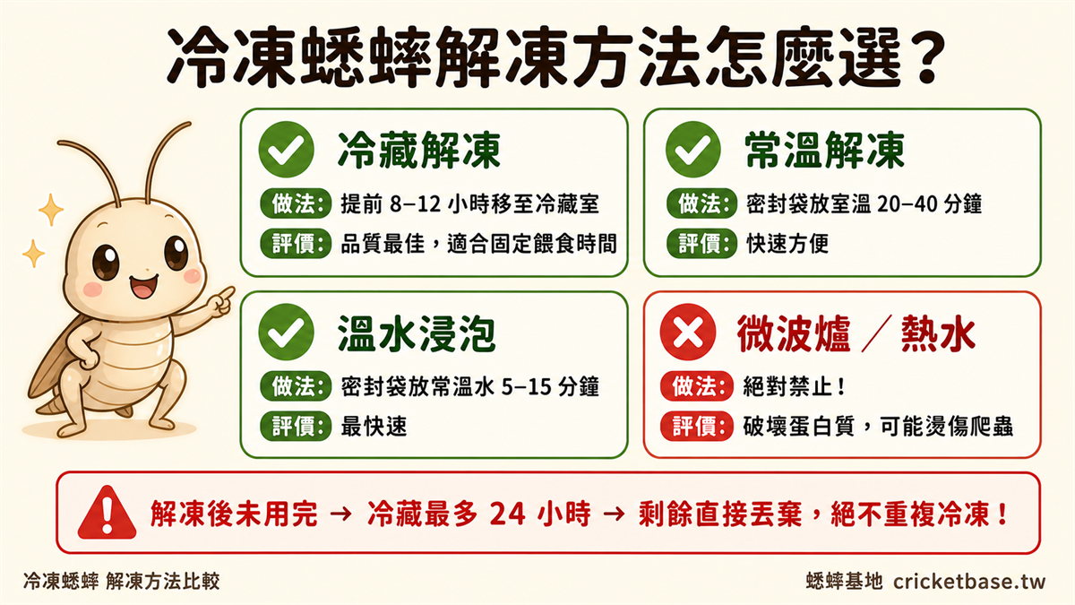 冷凍蟋蟀解凍方法怎麼選