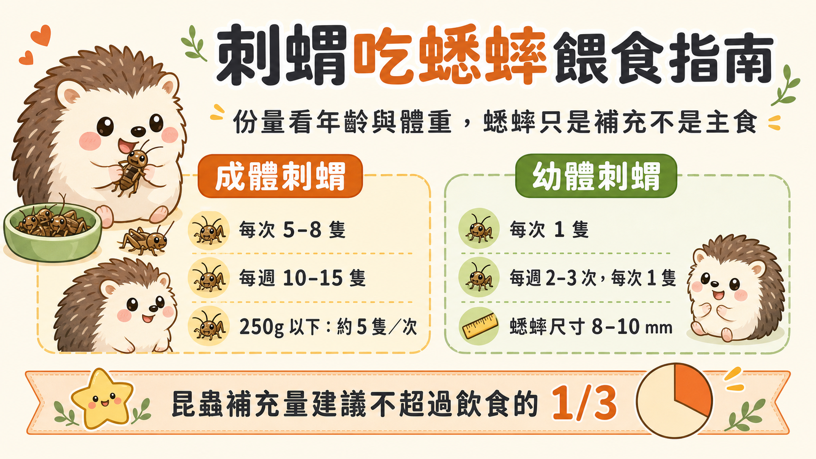 刺蝟可以吃蟋蟀嗎？完整刺蝟蟋蟀餵食指南