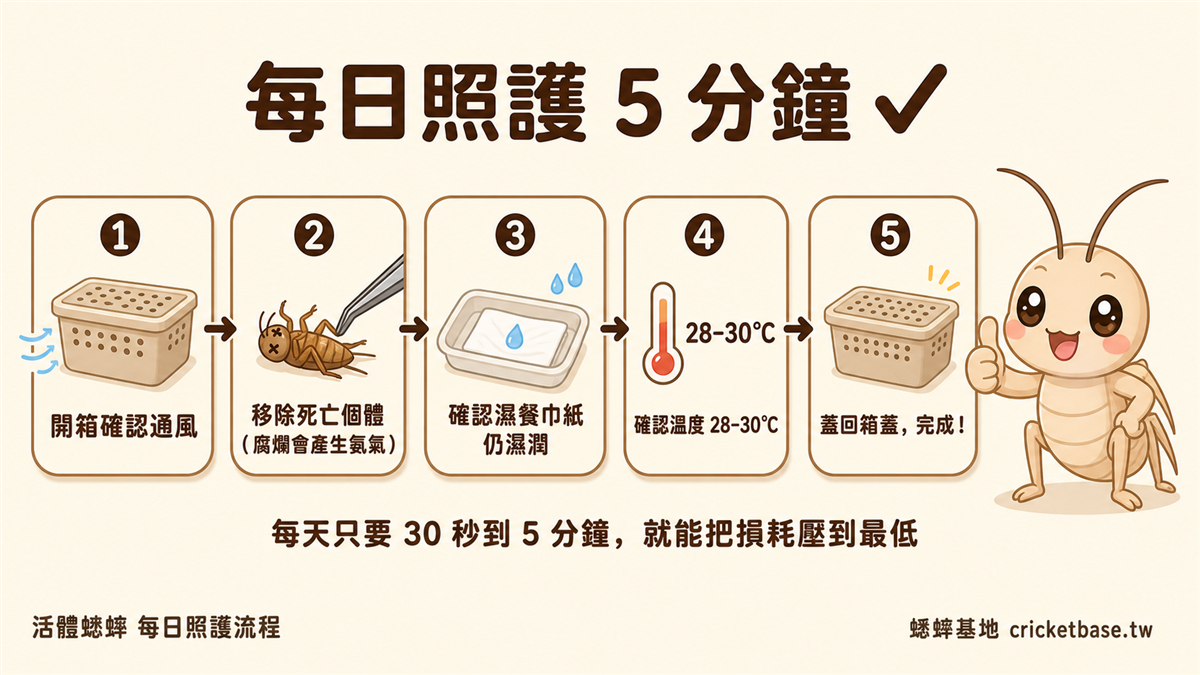 每日照護 5 分鐘流程