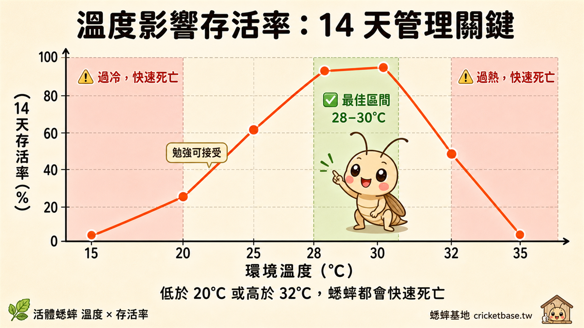 溫度影響存活率：14 天管理關鍵