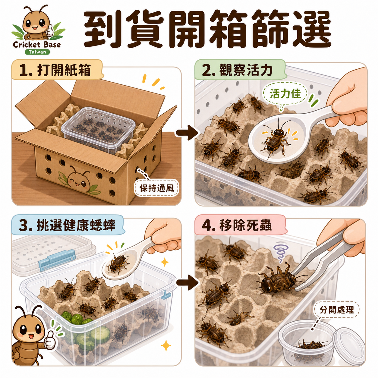 活蟋蟀到貨急救 SOP：開箱發現死蟋蟀的第一步