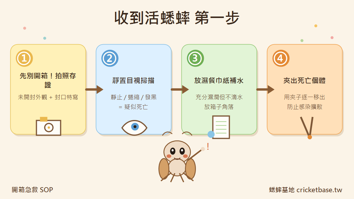 開箱第一步SOP：拍照→掃描→分類步驟圖