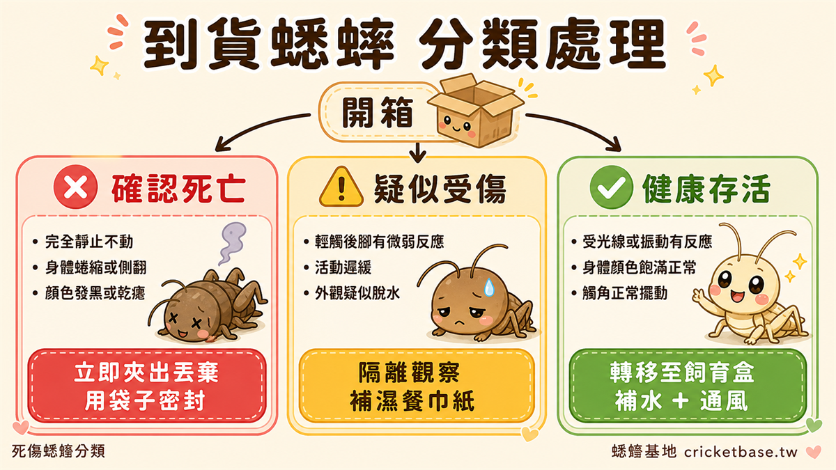 三區分類：死的撈出、傷的隔離、健康入箱