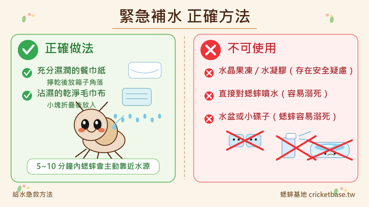 急救給水：濕餐巾紙正確方法 vs 水晶果凍禁用