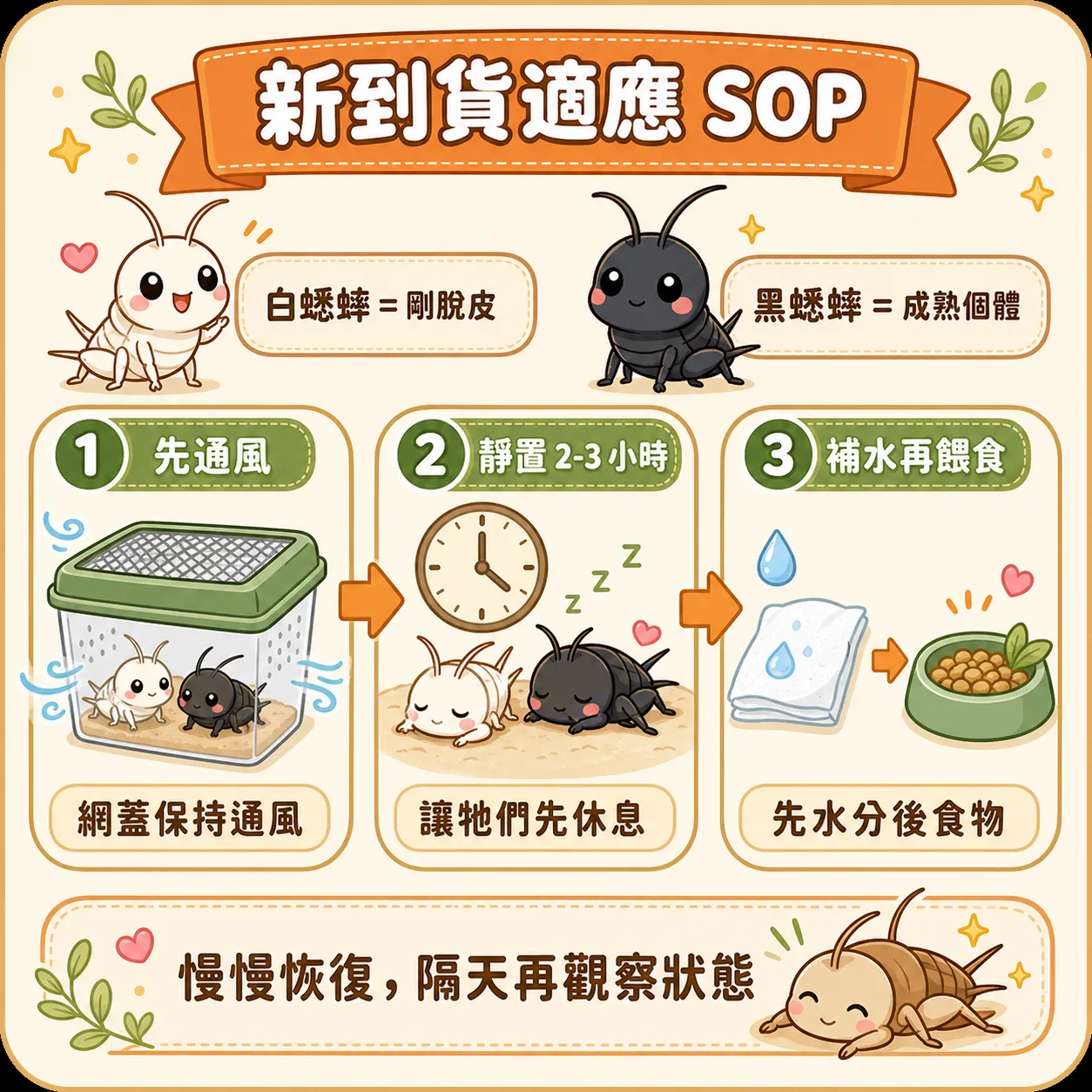先把蟋蟀移入通風飼養盒安頓好、靜置等牠們緩過來，這段時間不要急著餵給爬寵