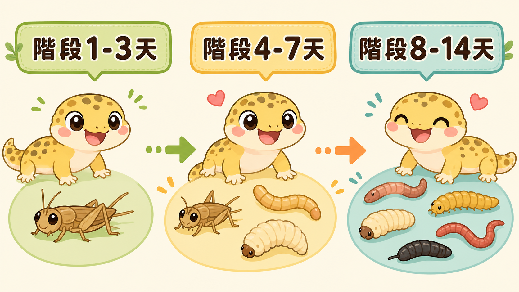 爬蟲換餌不卡關：活體轉冷凍、換規格的 2 週過渡 SOP