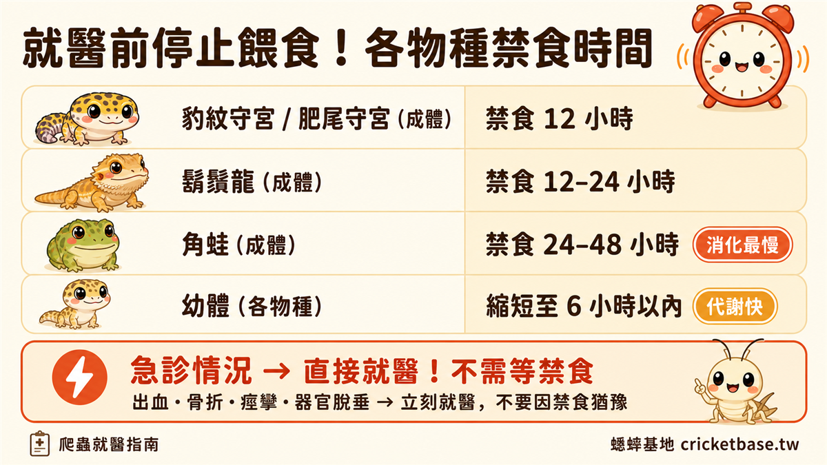 就醫前各物種禁食時間提醒