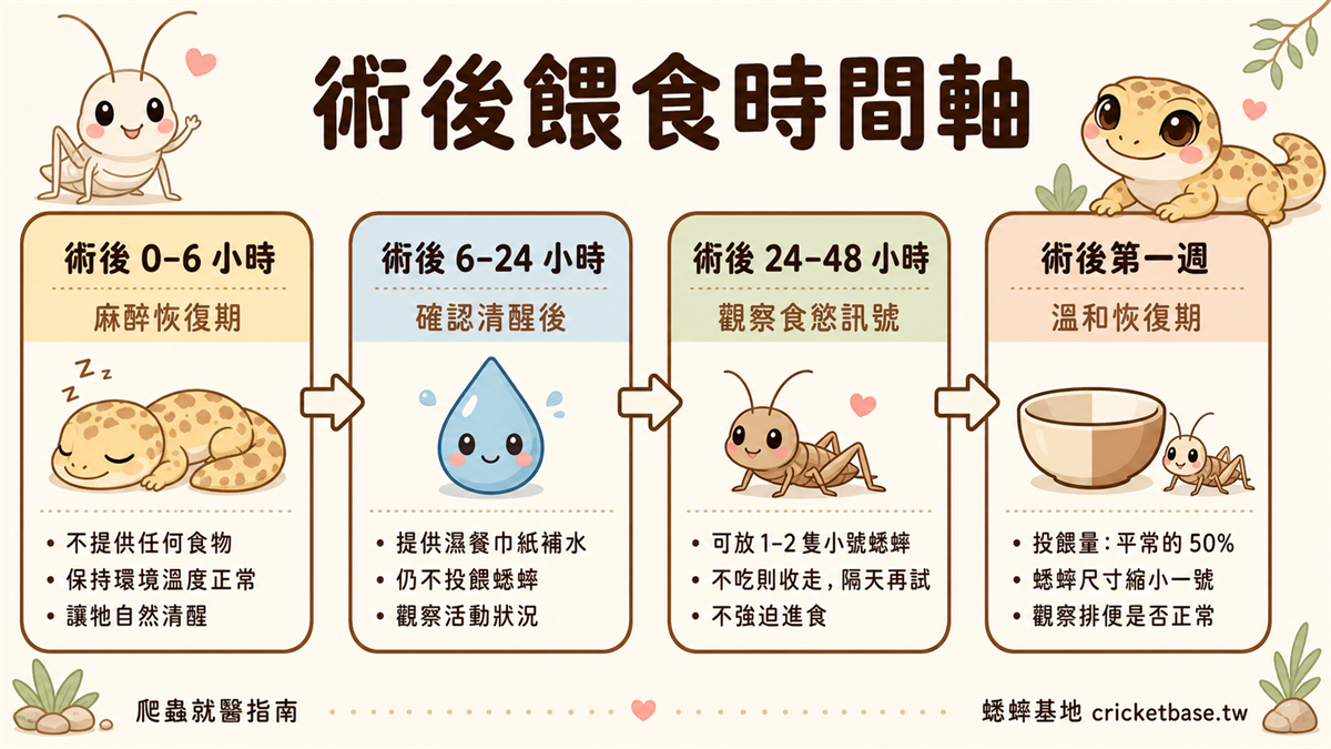 術後餵食減量時間軸