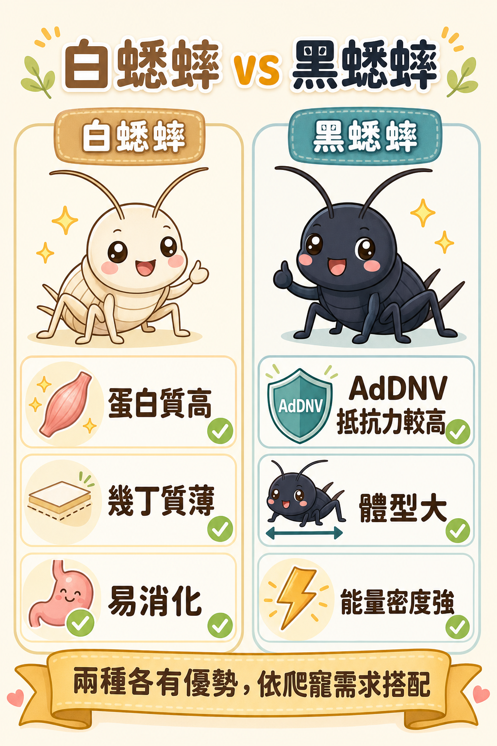 白蟋蟀與黑蟋蟀都是常見飼料蟲;黑蟋蟀對蟋蟀濃核病毒(AdDNV)的天然抵抗力較高,白蟋蟀則以蛋白質高、幾丁質薄易消化見長,兩者各有優勢。