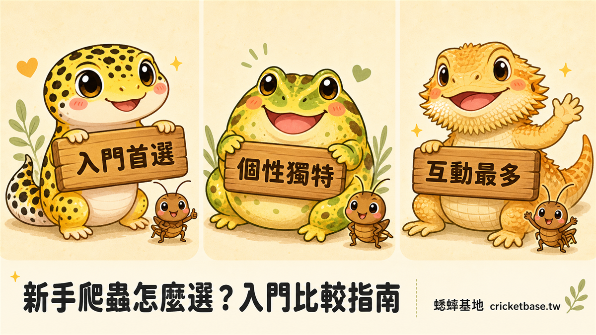 爬蟲新手怎麼選？從豹紋守宮到角蛙的入門比較