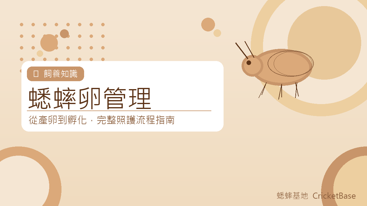 蟋蟀卵期照顧指南：產卵箱設置、孵化率提升與常見失敗原因