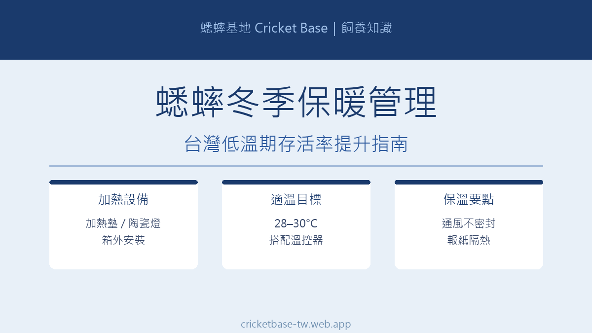 蟋蟀冬季保暖管理：台灣低溫期存活率提升完整指南