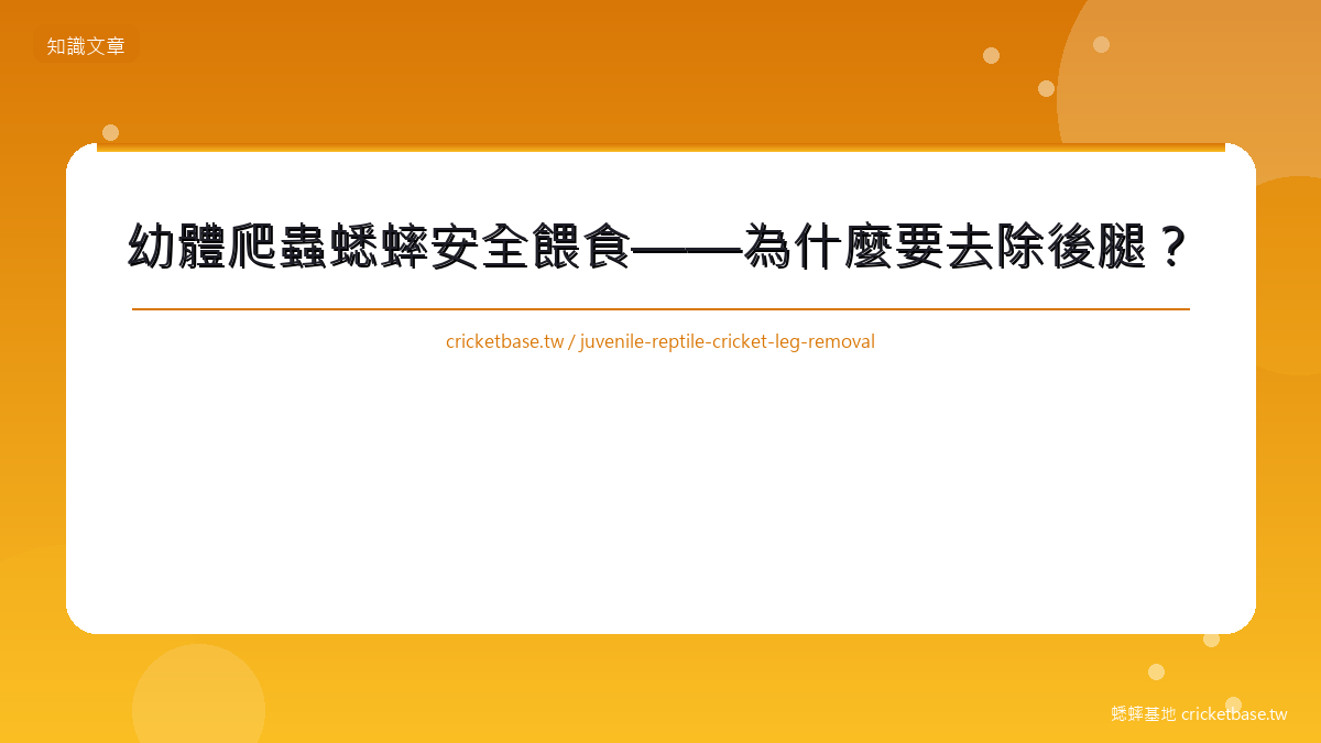 幼體爬蟲蟋蟀安全餵食——為什麼要去除後腿？