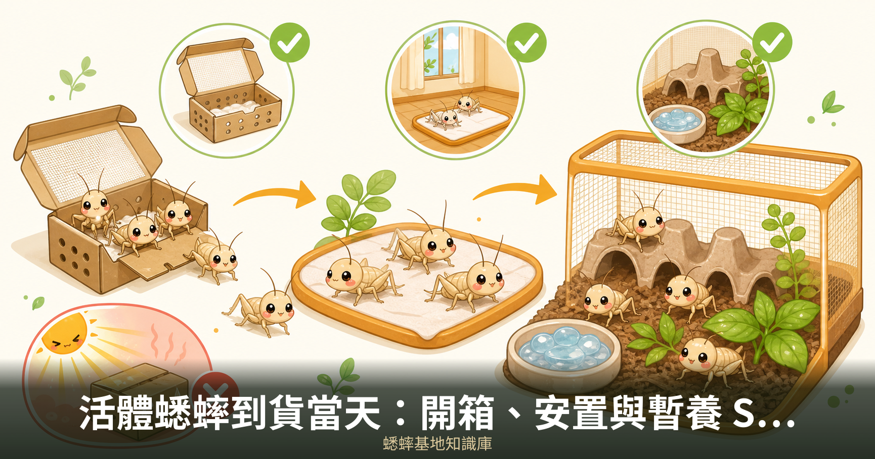 活體蟋蟀到貨當天：開箱、安置與暫養 SOP