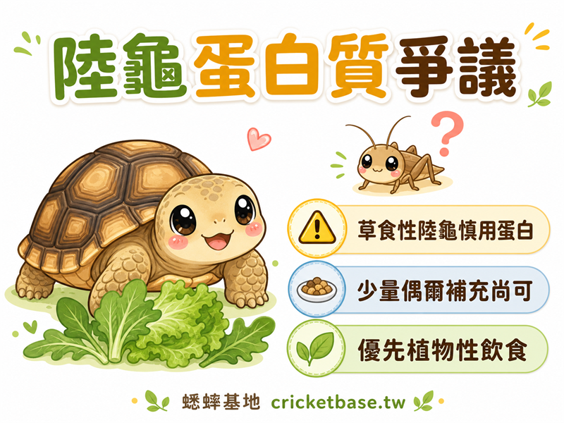 陸龜偶爾需要蛋白質嗎？蟋蟀在陸龜飲食中的邊界與爭議